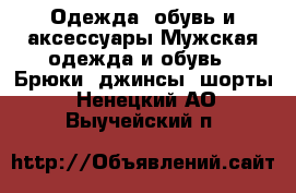 Одежда, обувь и аксессуары Мужская одежда и обувь - Брюки, джинсы, шорты. Ненецкий АО,Выучейский п.